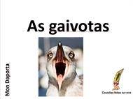 As gaivotas